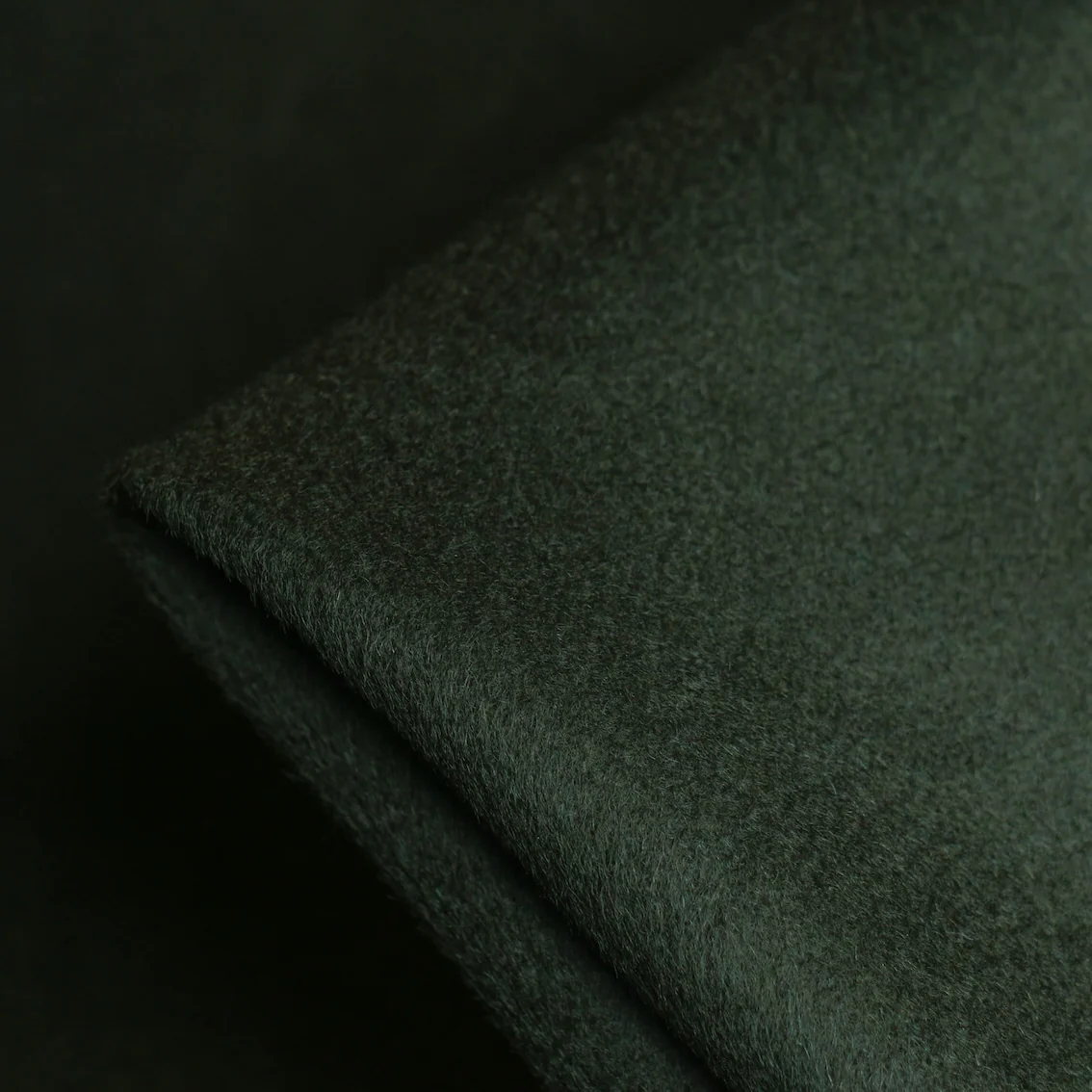 Pieris Forest Coating