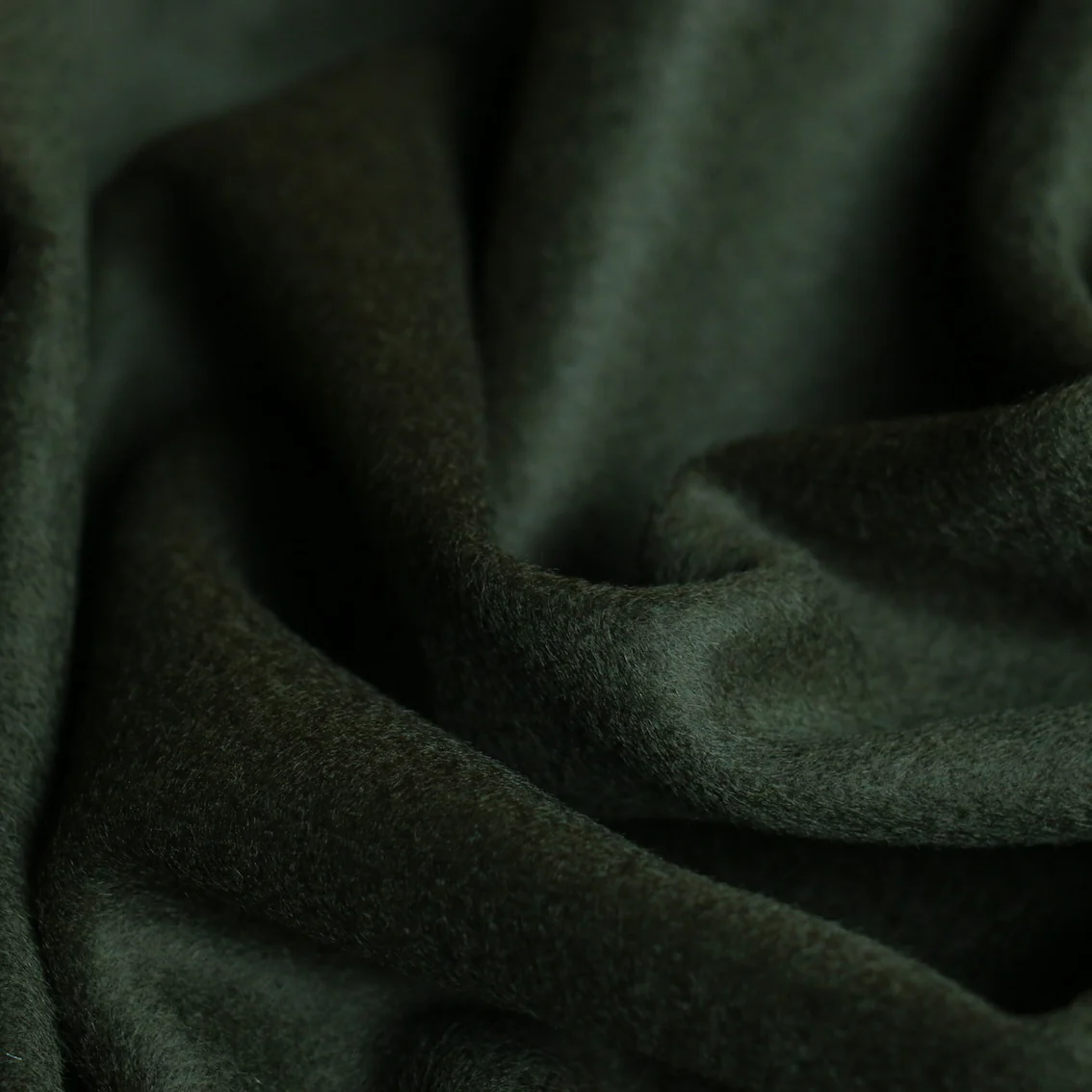Pieris Forest Coating - Image 2