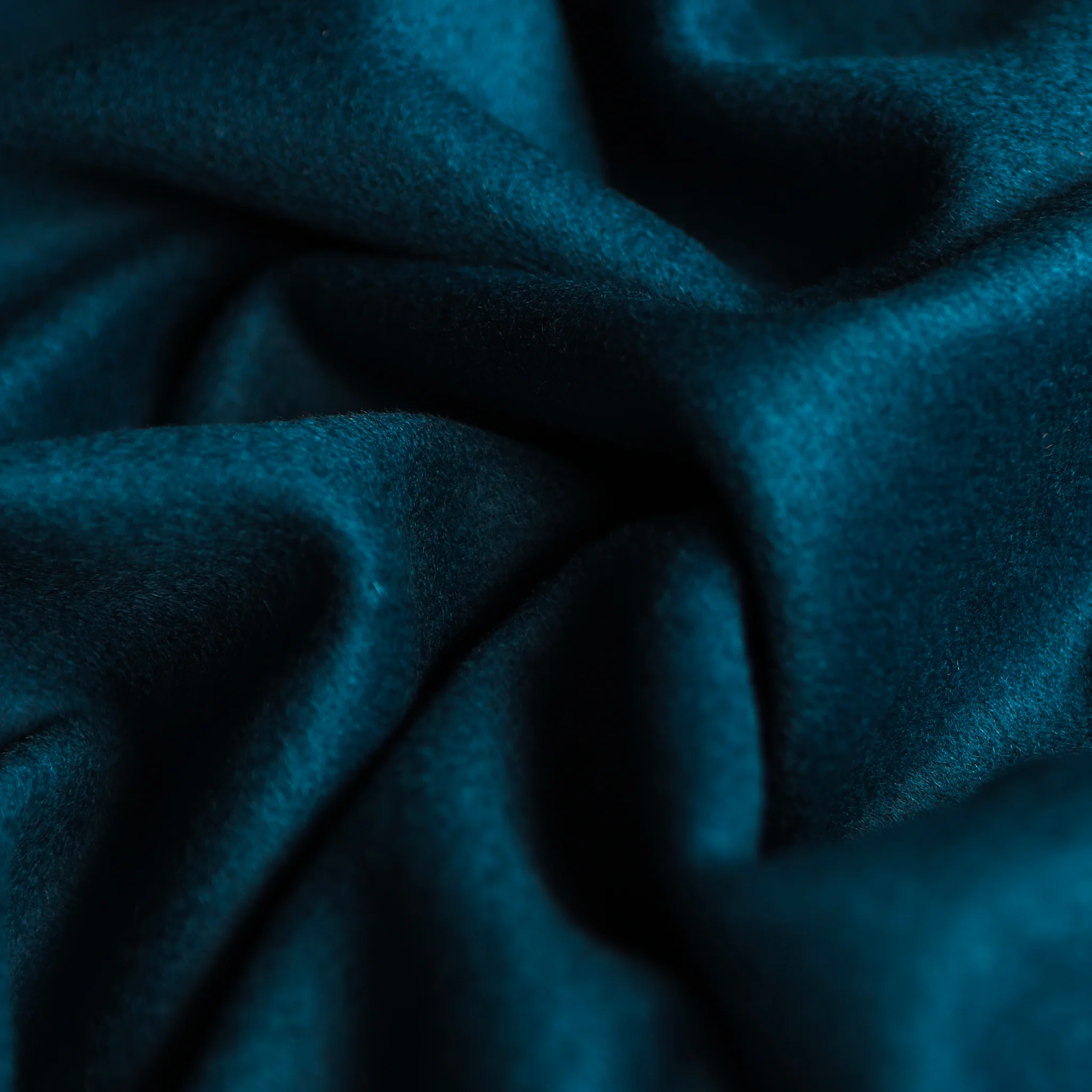 Pieris Teal Coating - Image 2