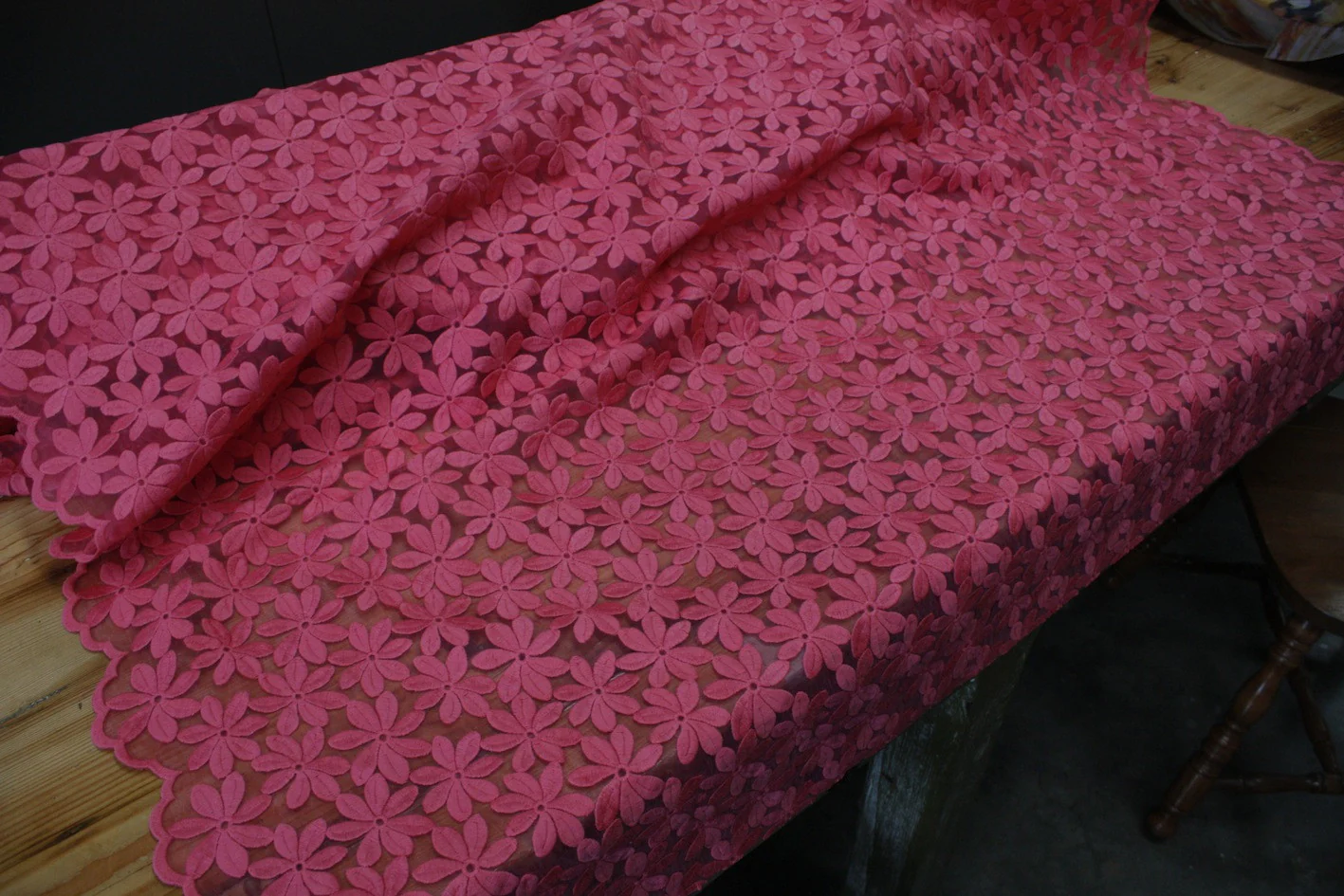 Pink Daisy - Image 2