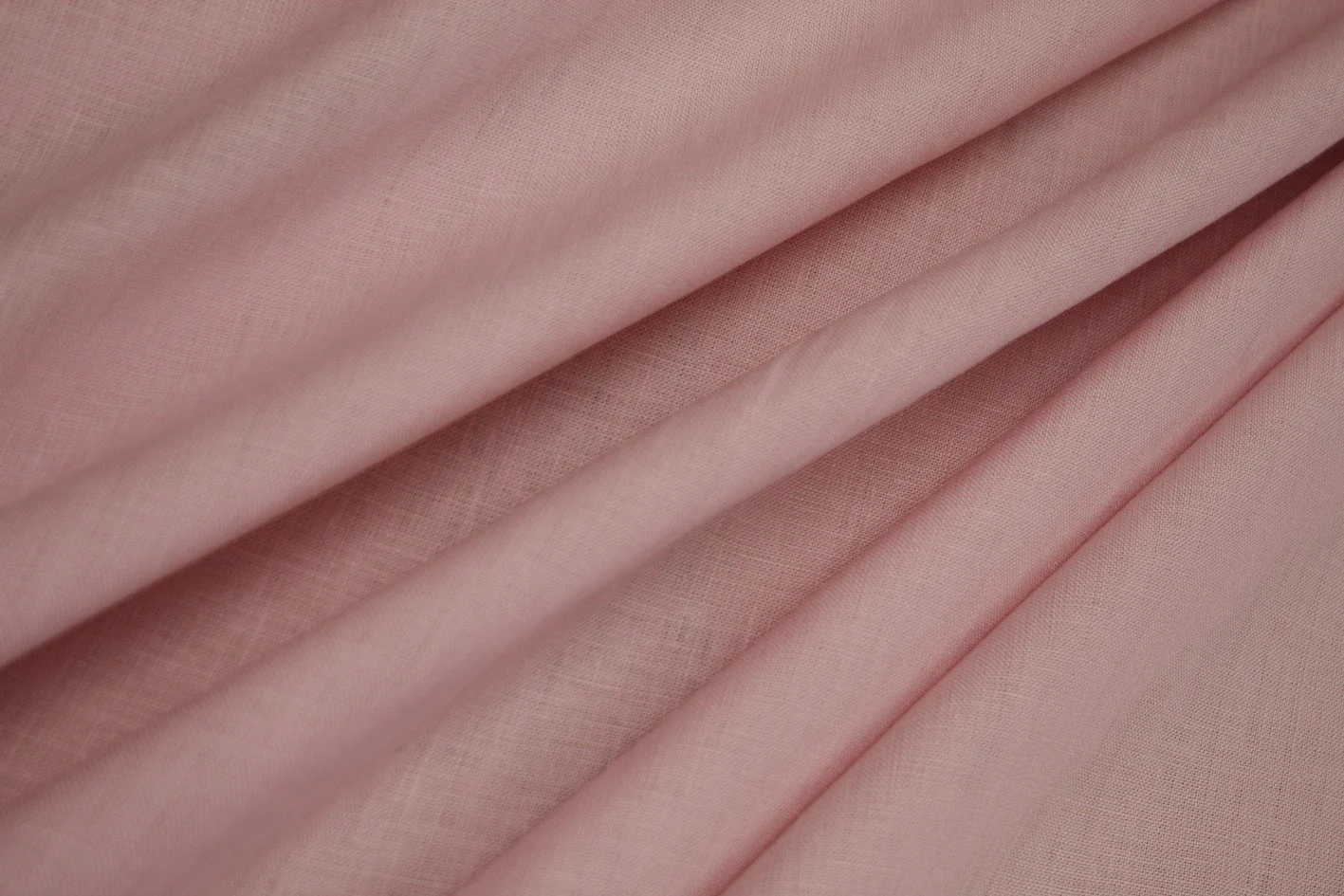 Pink Lungo - Image 3