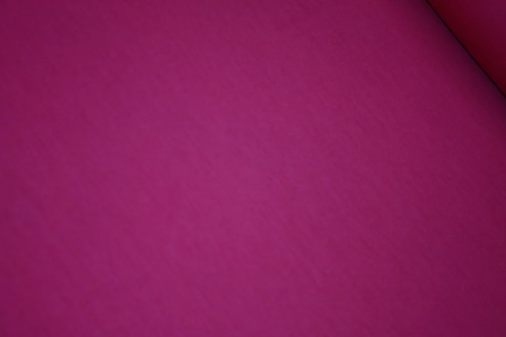 Pink Rhubarb - Image 2