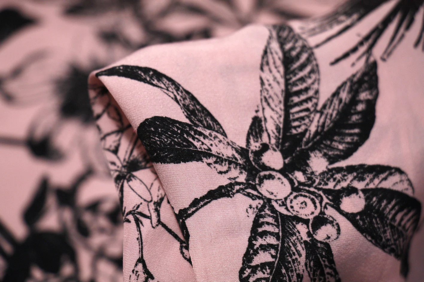 Pinkus Botanicus