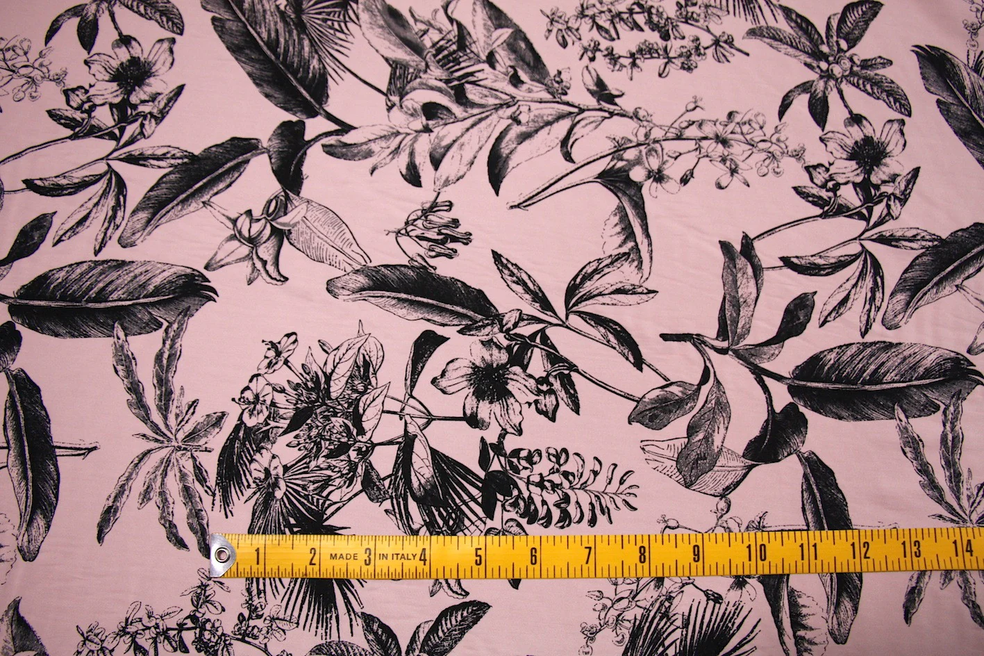 Pinkus Botanicus - Image 2