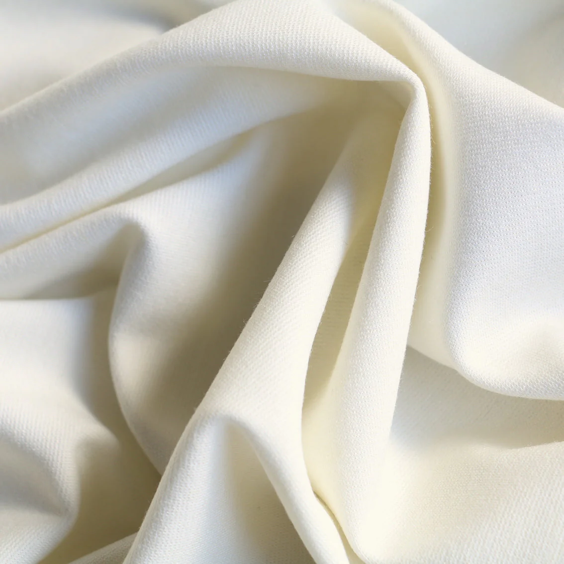 Pistoia Ivory Ponti - Image 2