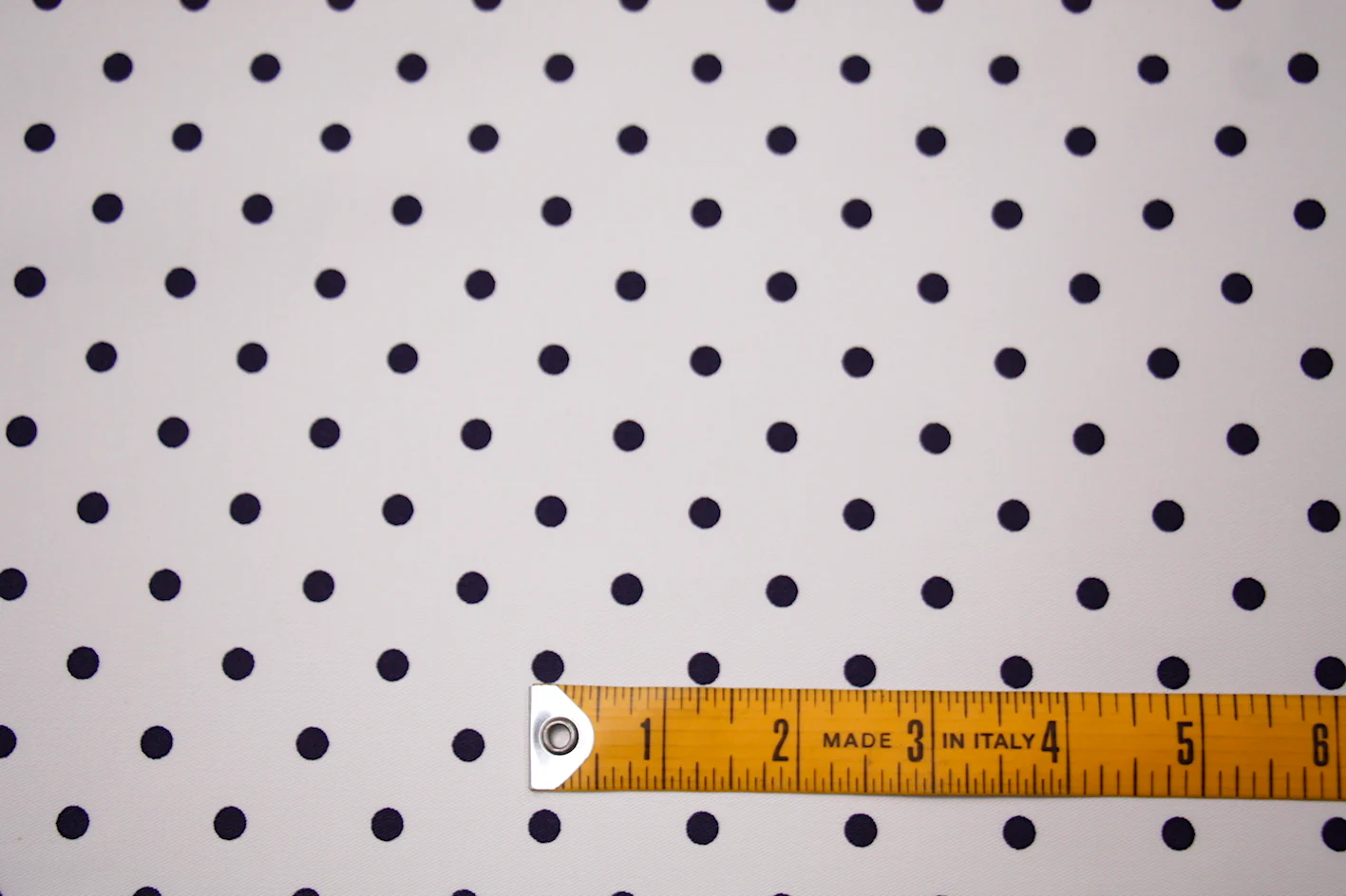 Playful Spot - Image 2