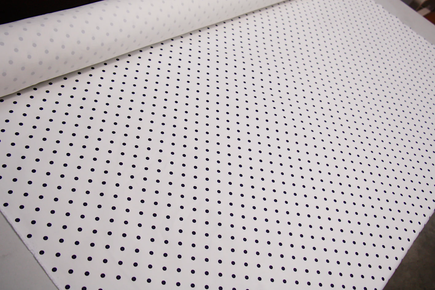 Playful Spot - Image 4