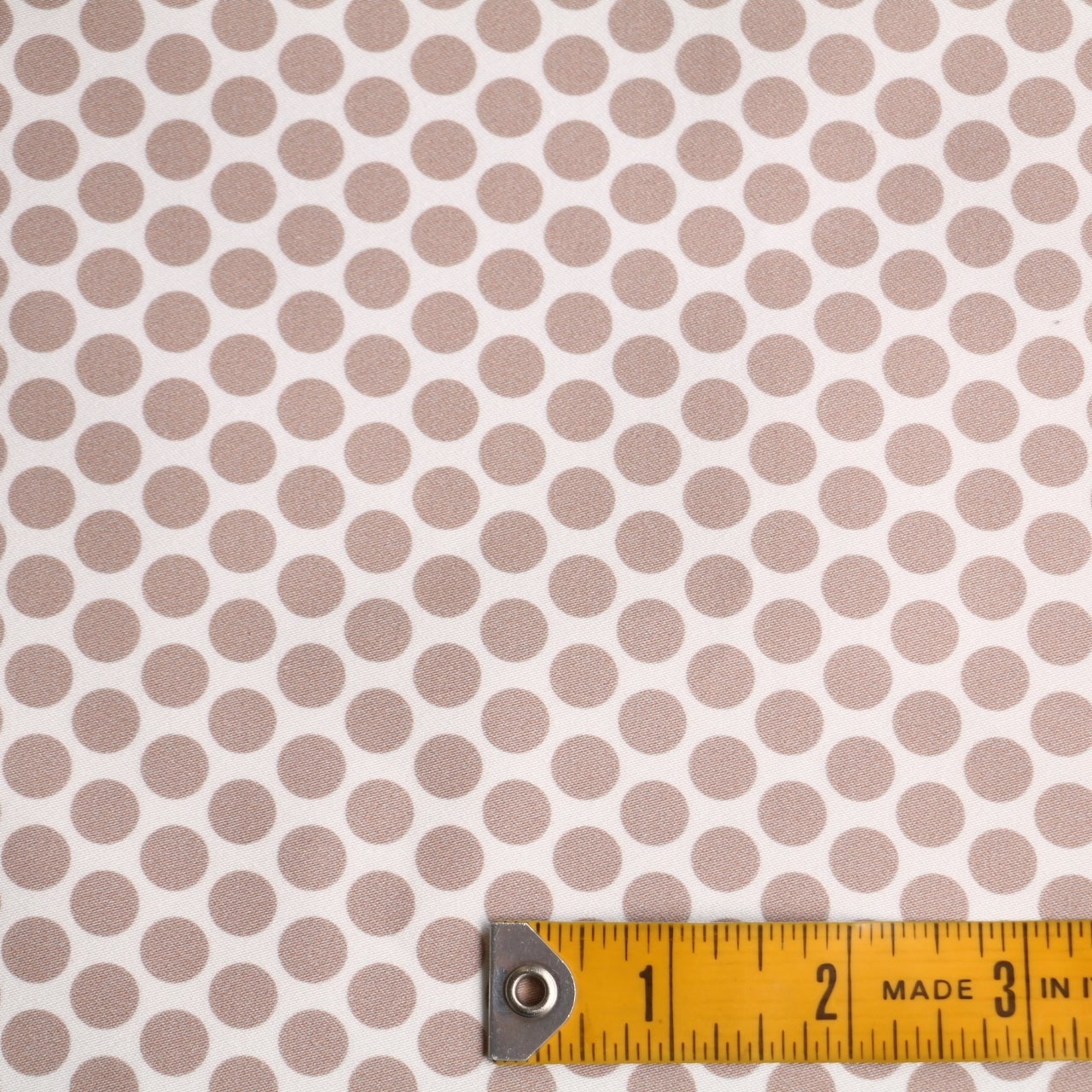 Polkadot Latte - Image 3