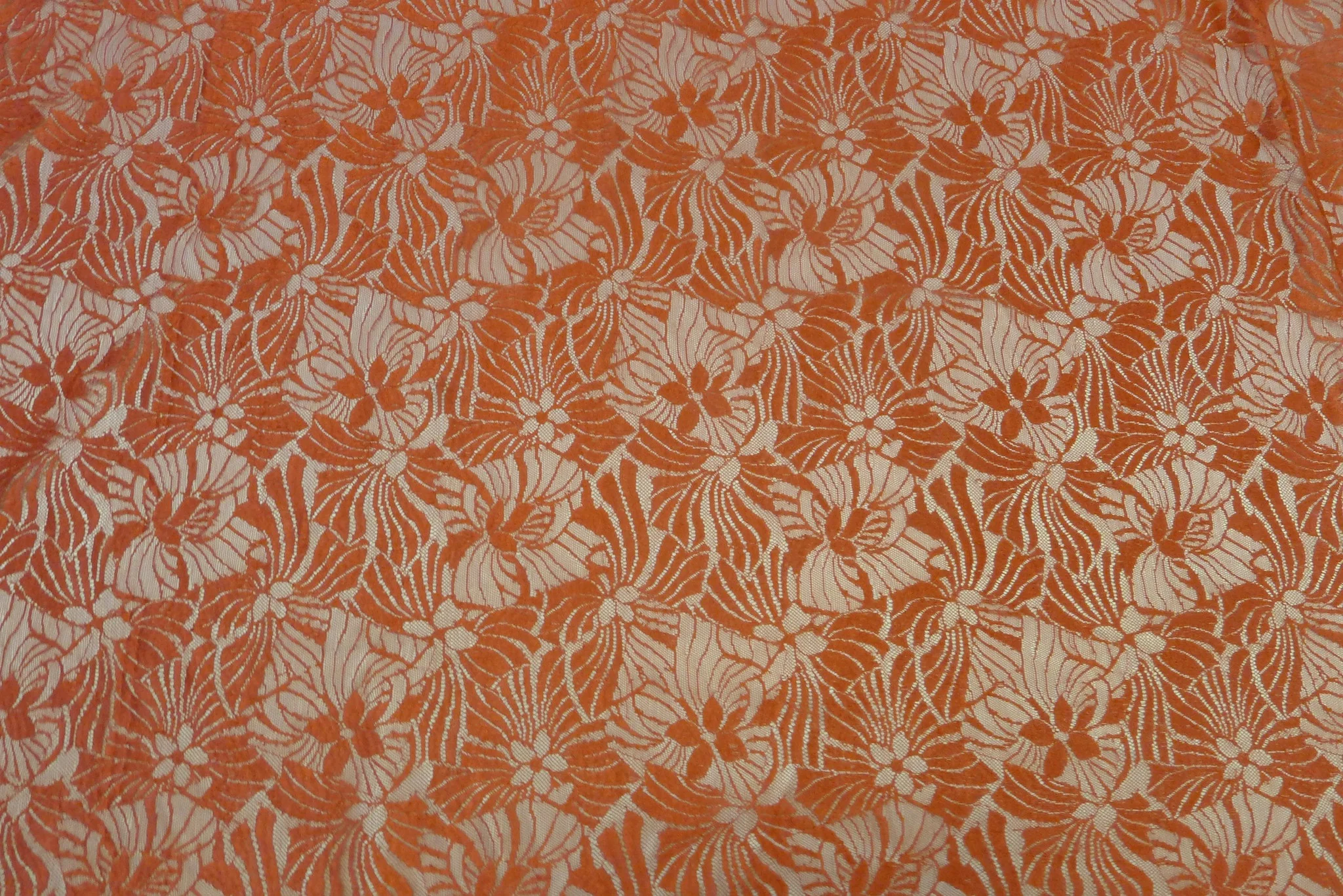 Positive/Negative Tango Lily
