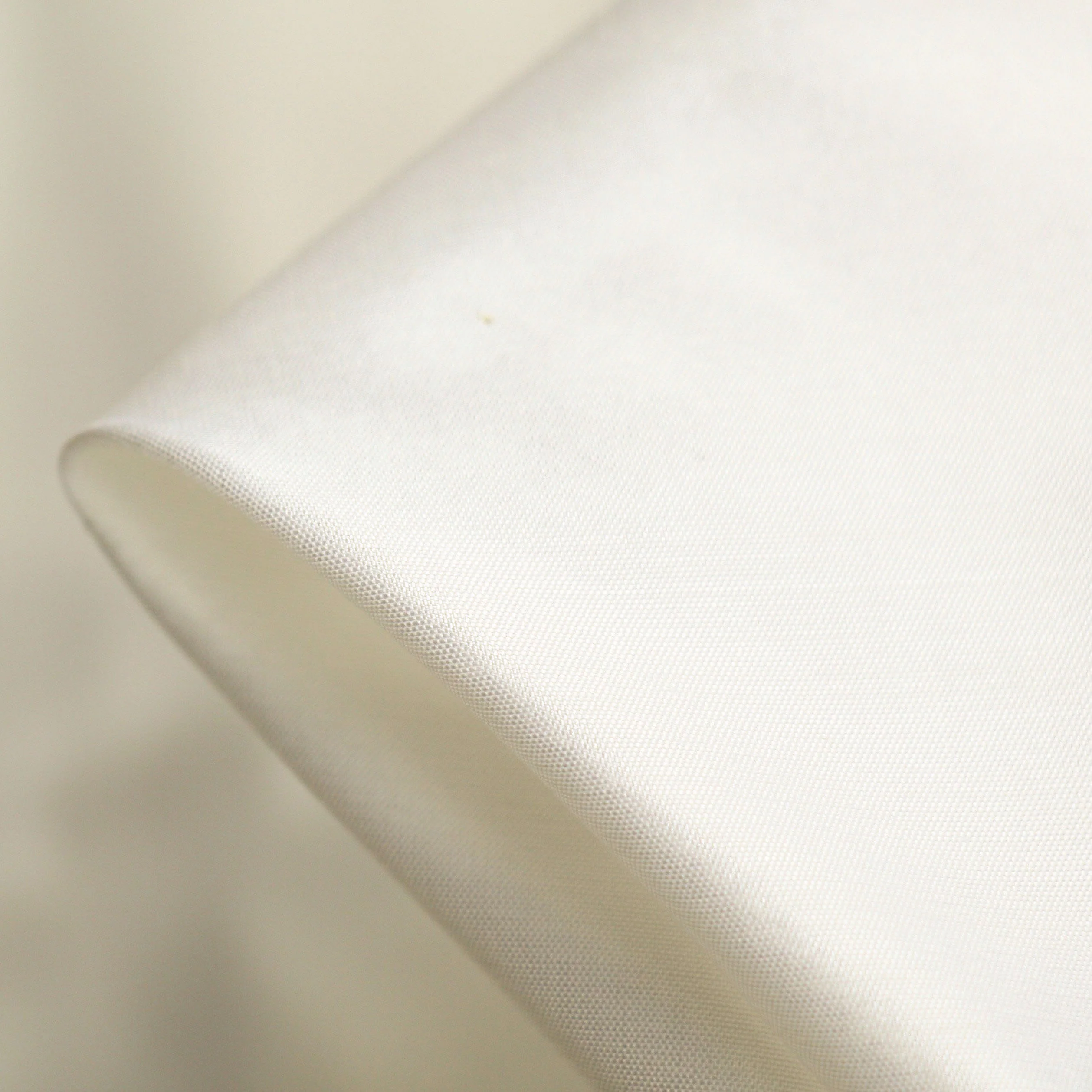 Ivory Silk Dupion