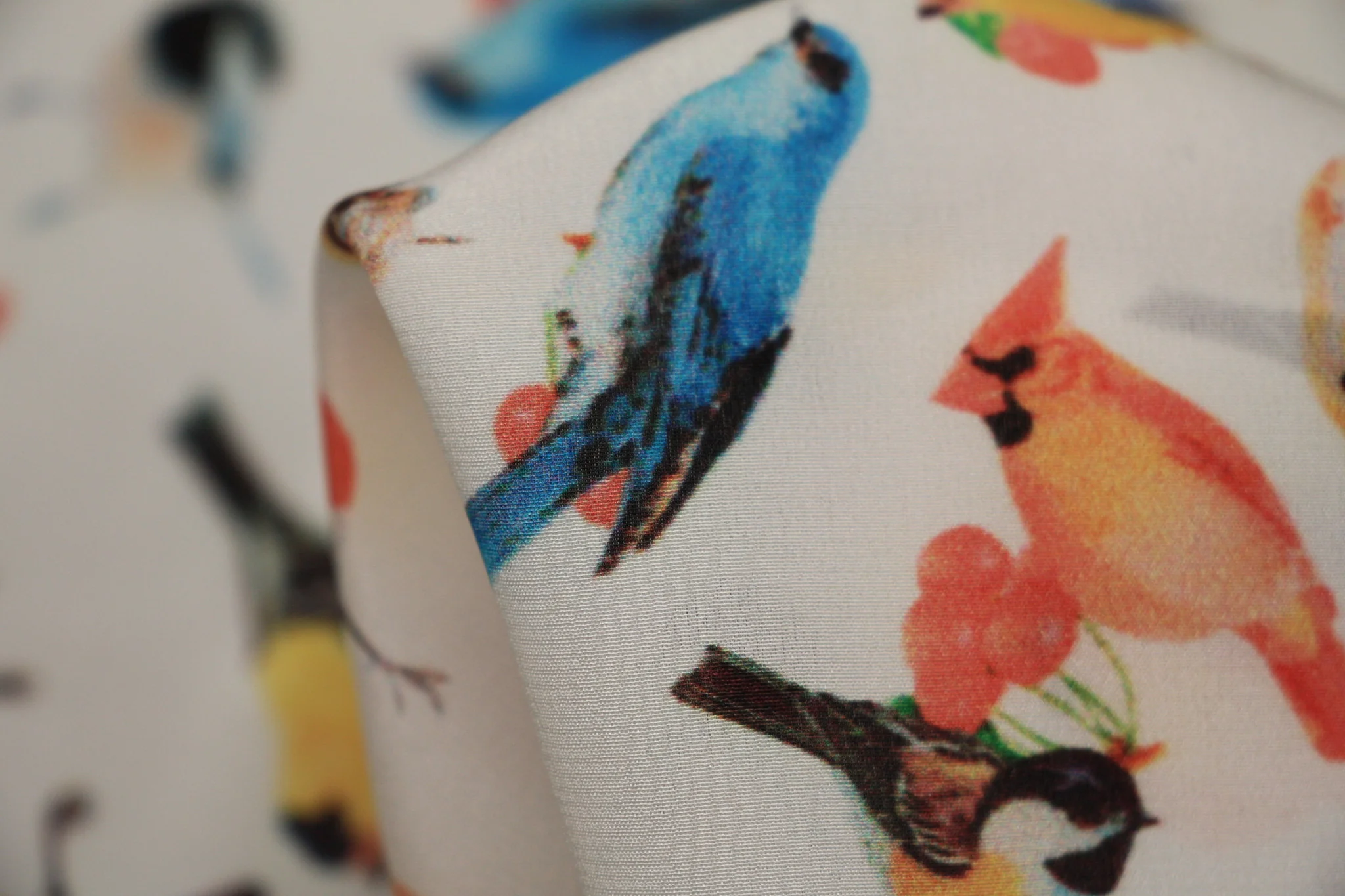 Ptaszki Birds