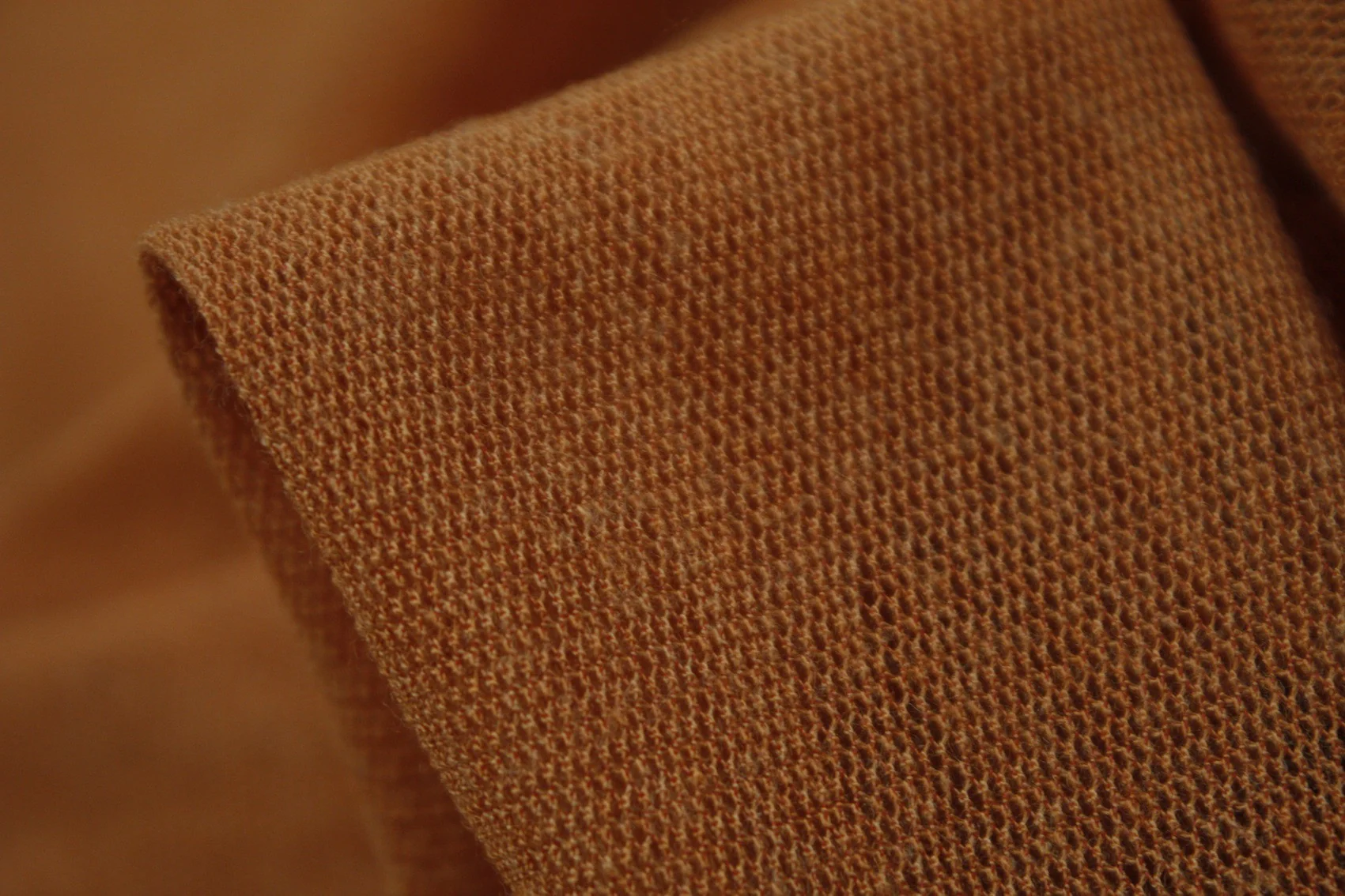 Pumpkin Mesh