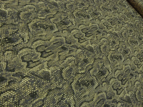 Python - Image 3