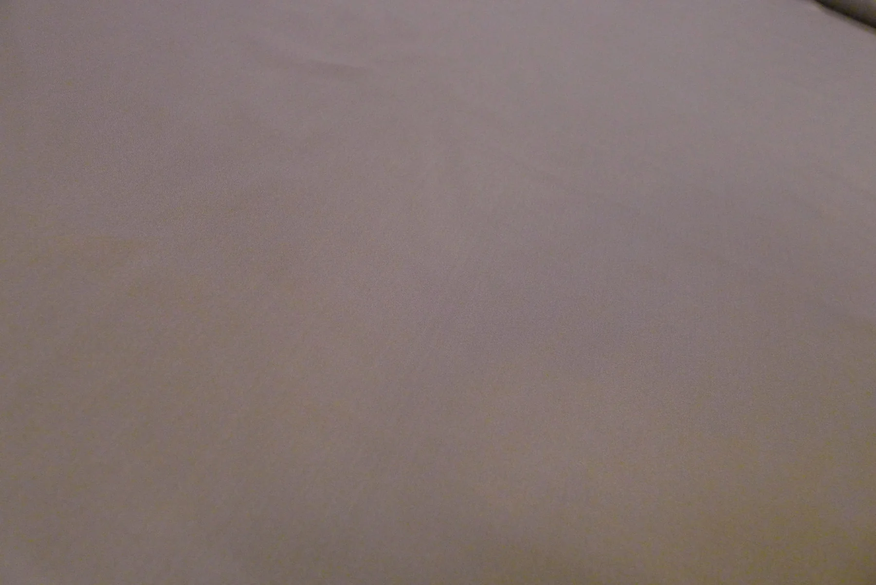 Quail Silk Habutai - Image 2
