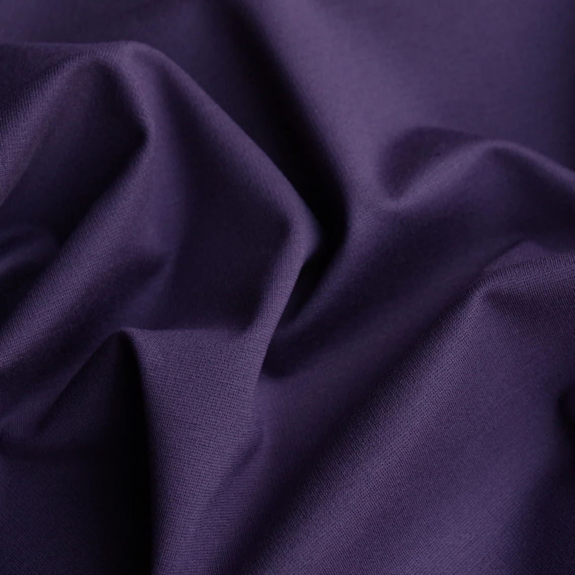 Quasi Purple - Image 2