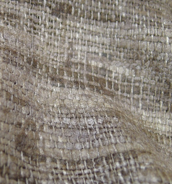 Ravi Bark - Image 4