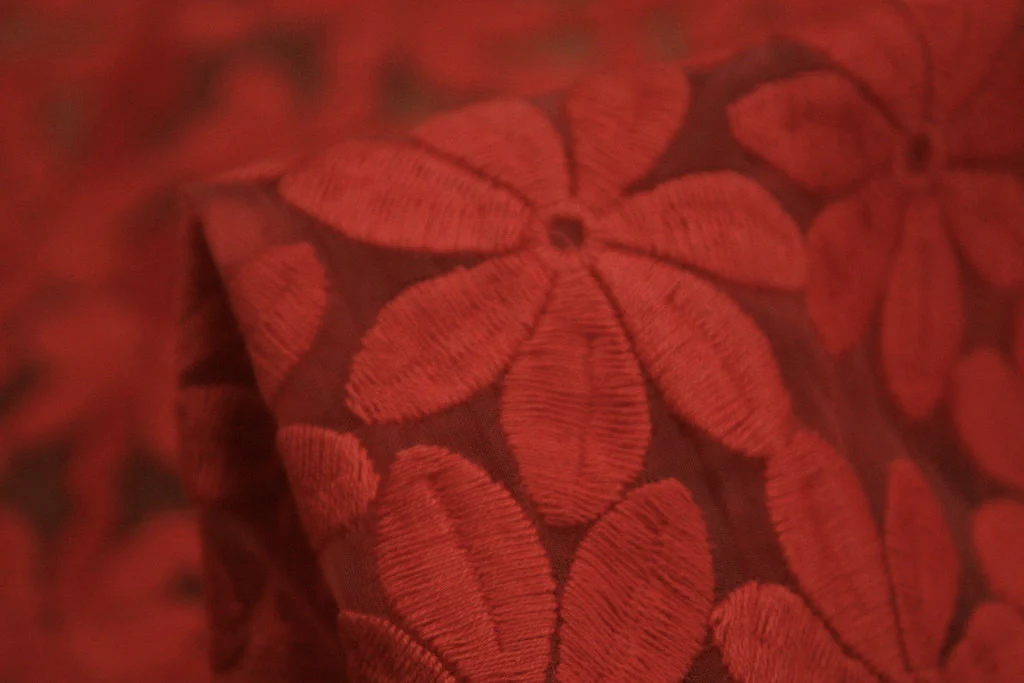 Red Daisy