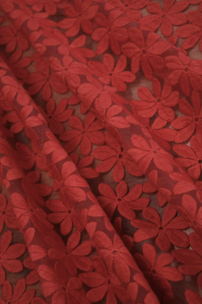 Red Daisy - Image 2
