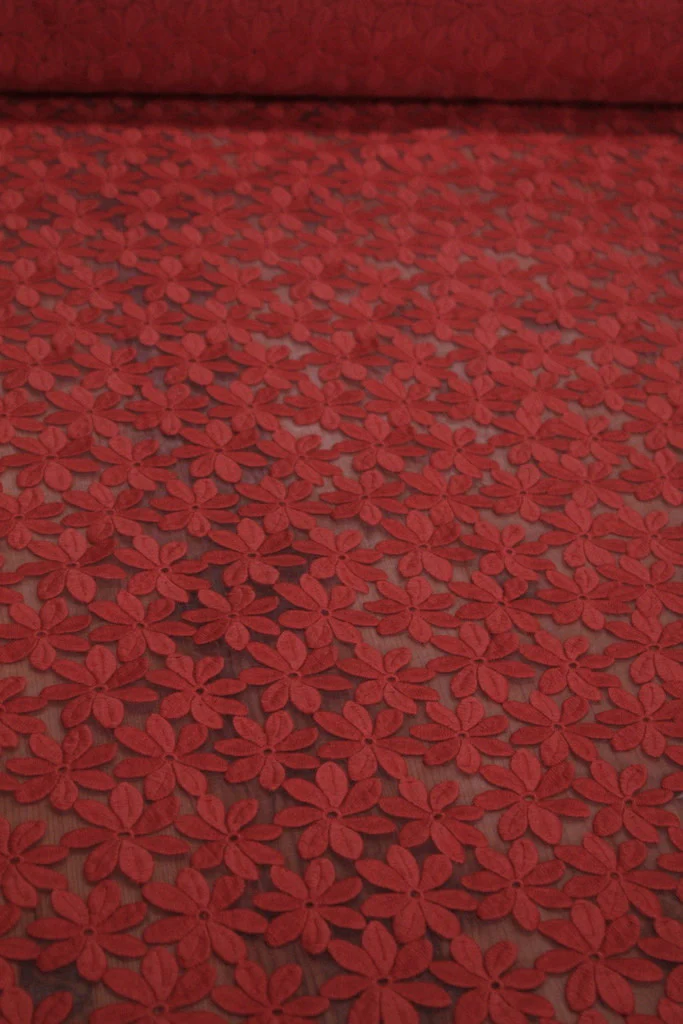 Red Daisy - Image 4