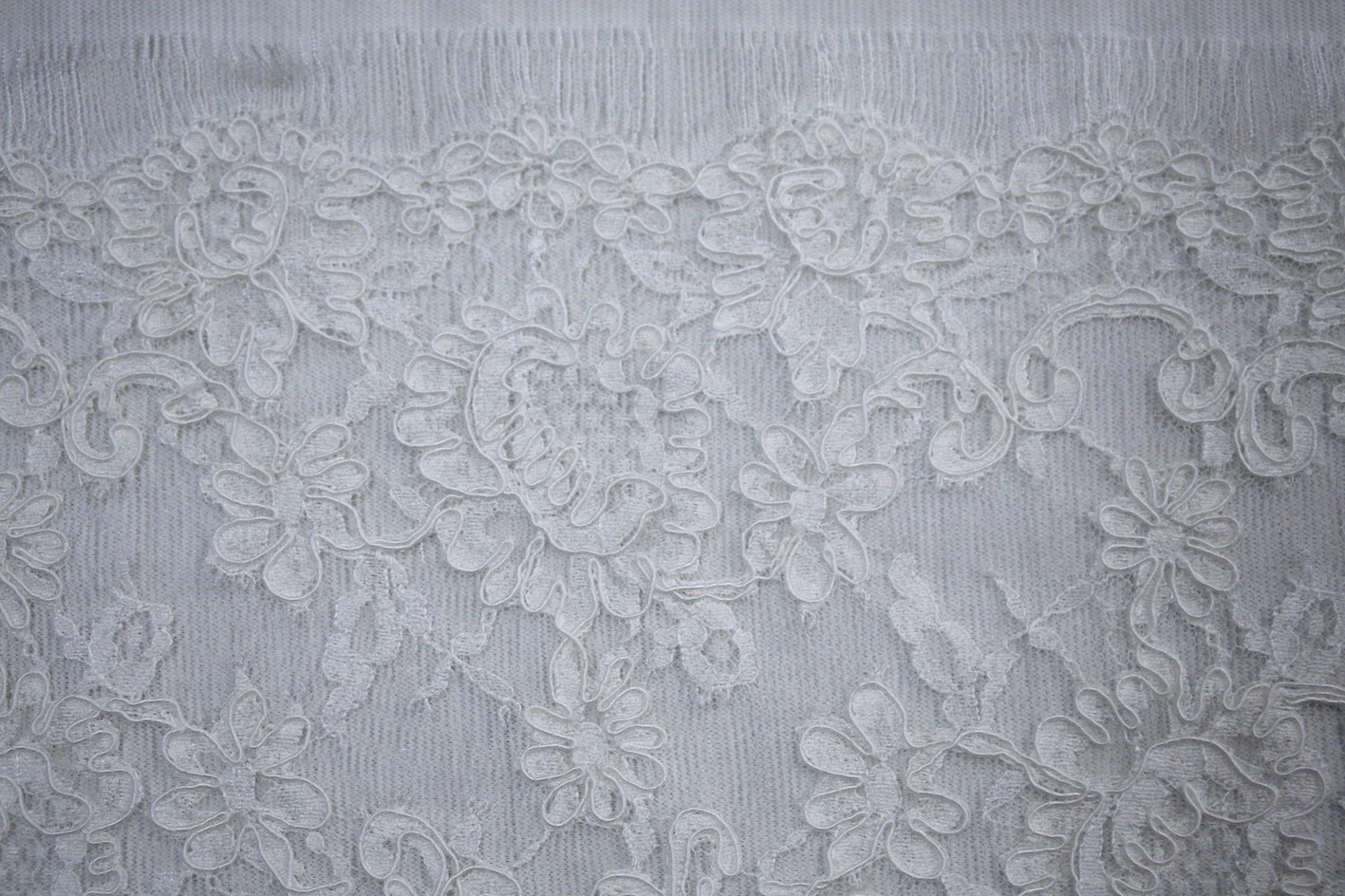 Reina Corded Lace Trim - Champagne - Image 5