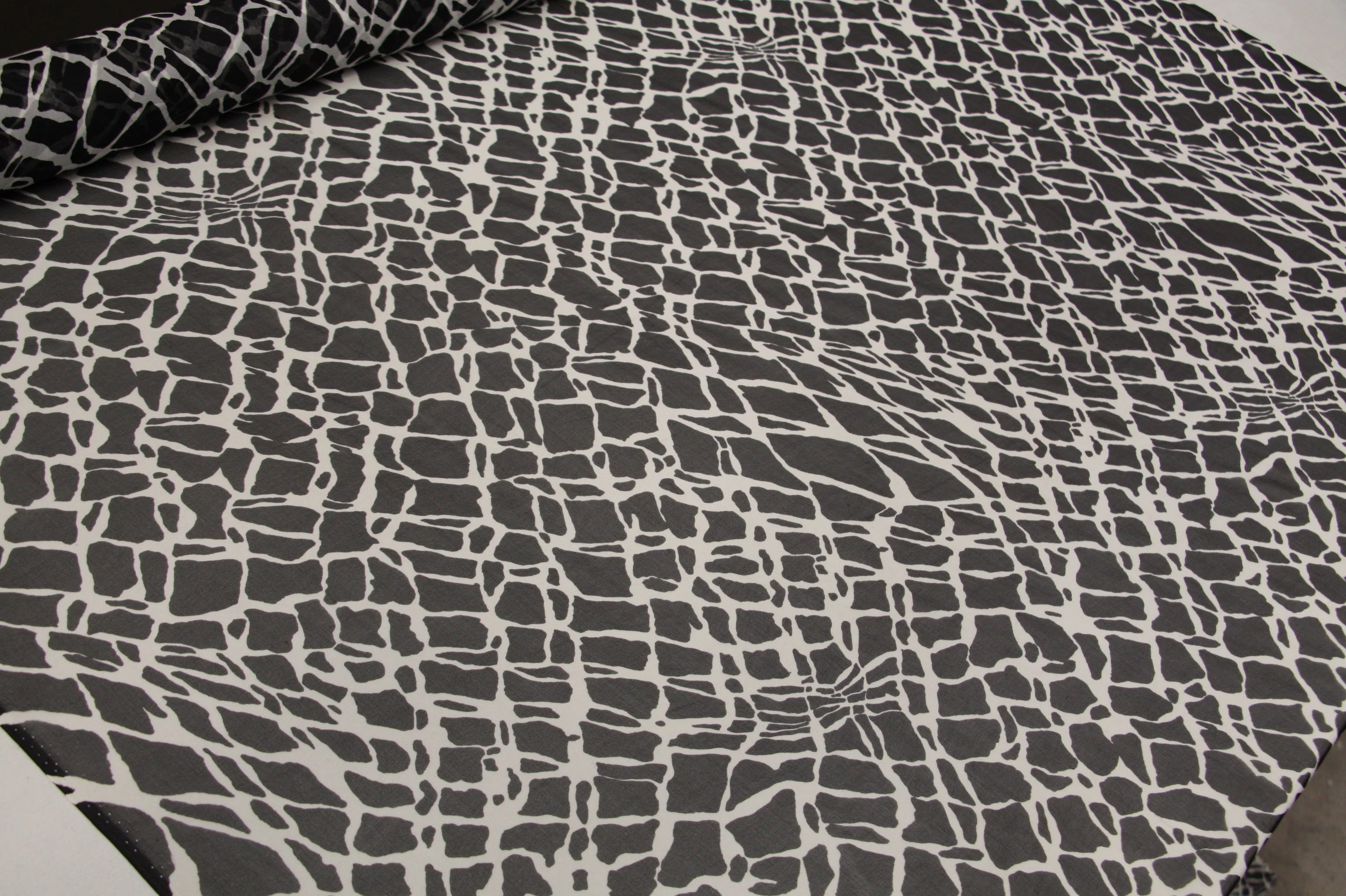Remnant of Cracks In The Dark - Image 3