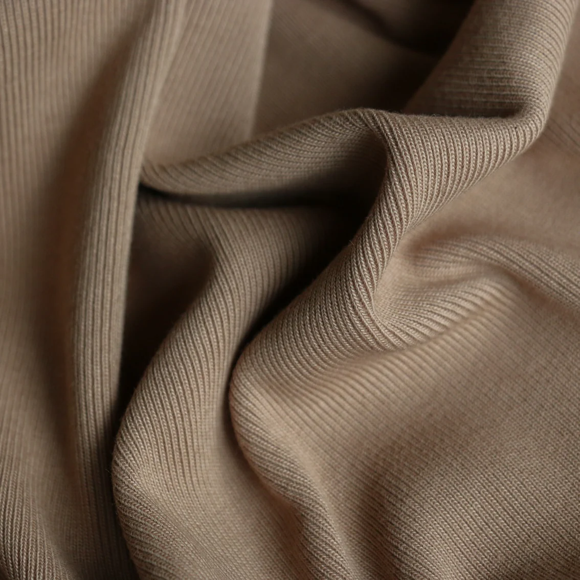 Ribbing Camel - Image 2