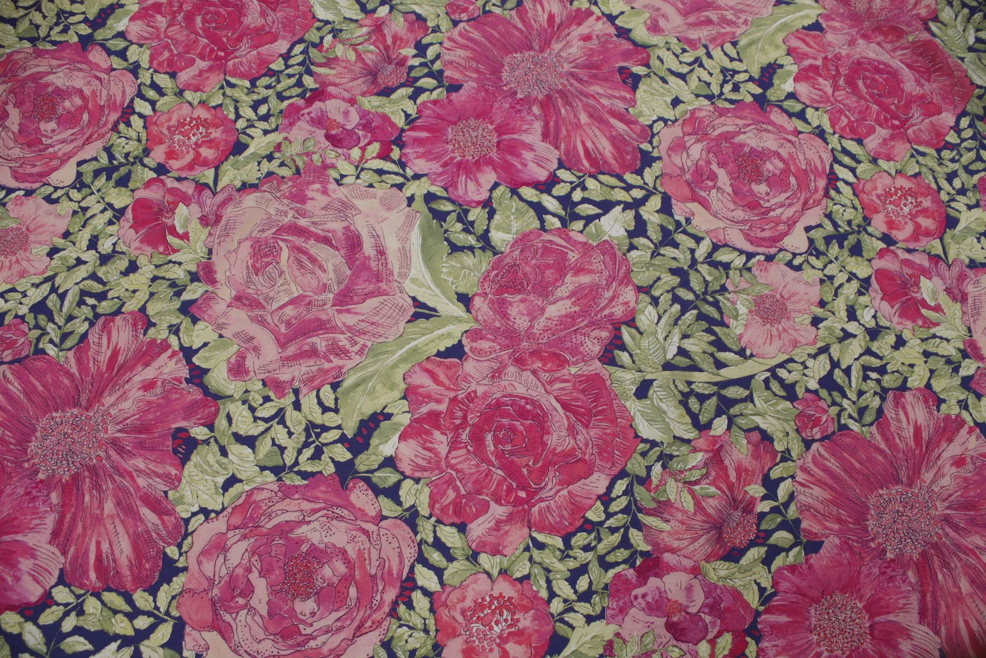 Rose Xanthe - Image 2