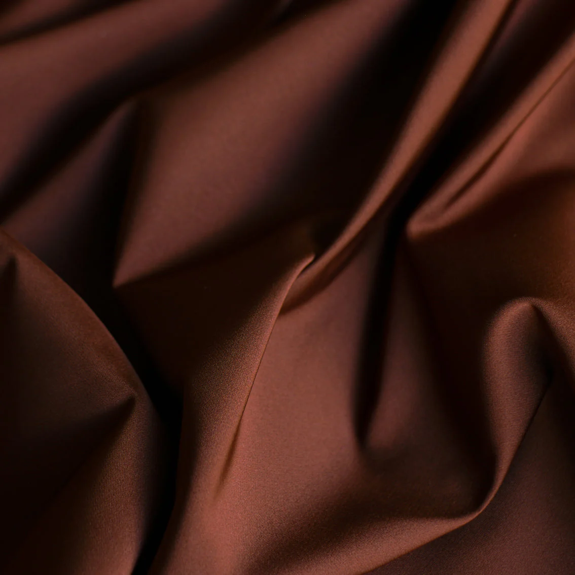 Royal Coco - Image 2