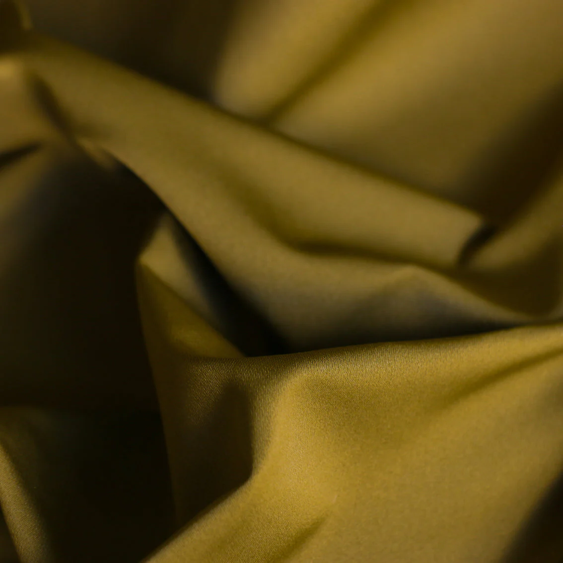 Royal Seaweed - Image 2