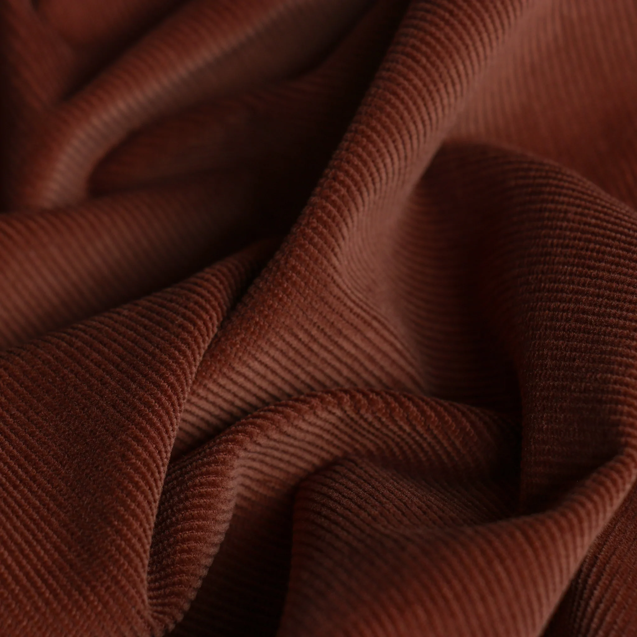 Ruggine Cord Stretch Corduroy - Image 2