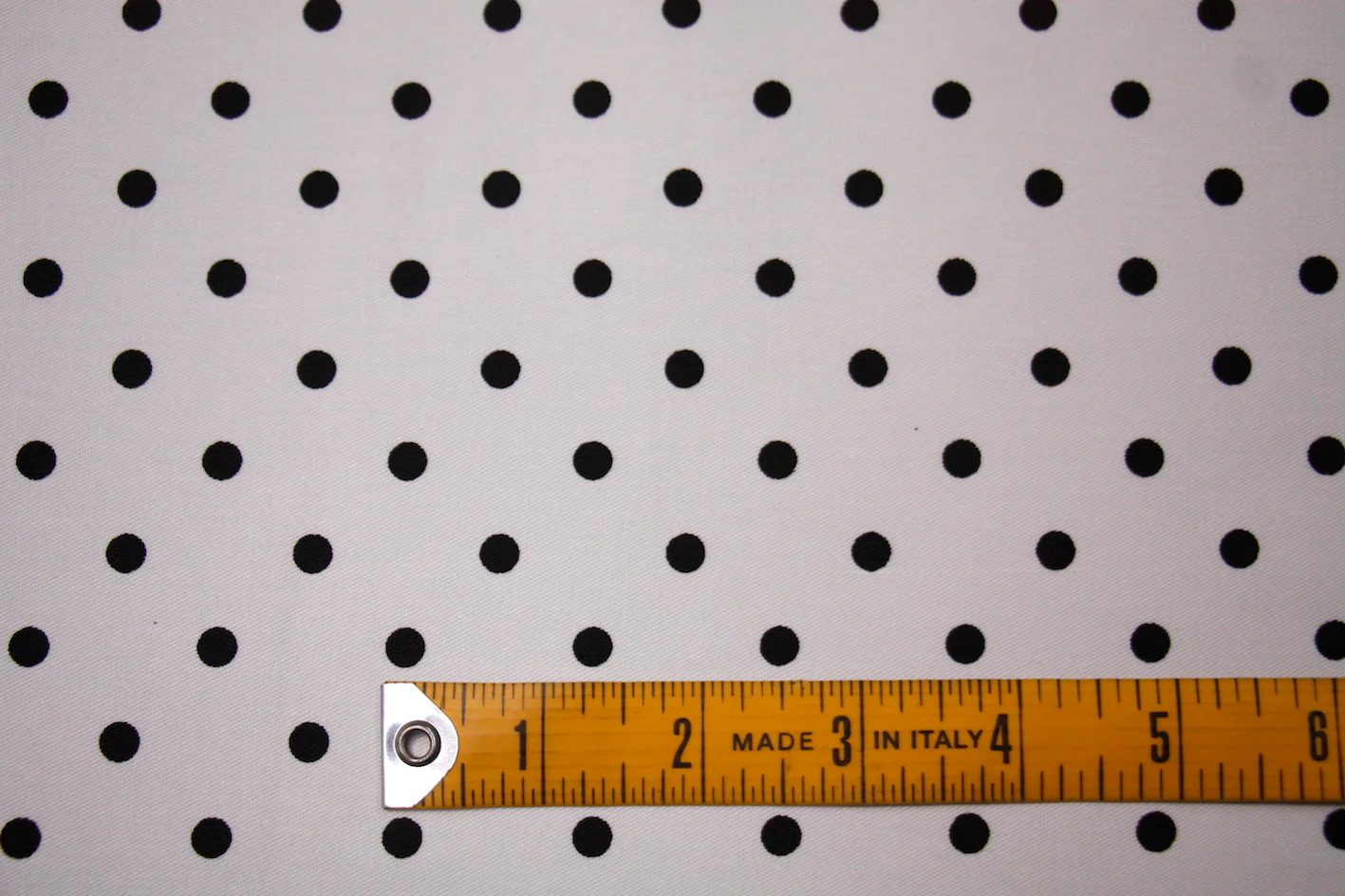 See Spot Run - Image 2