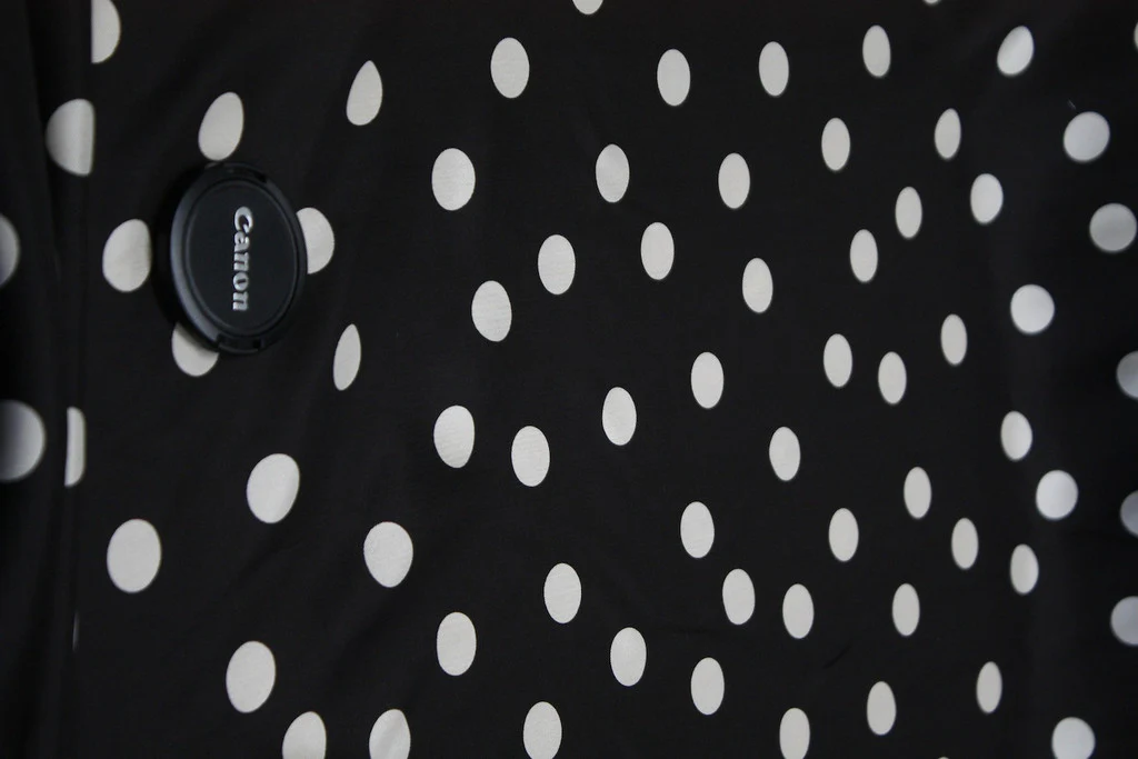 See Spot Run - Image 2