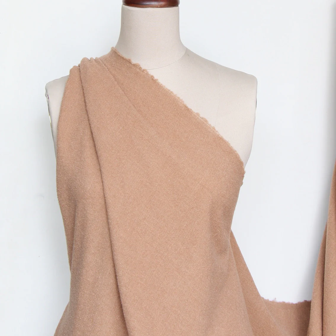 See The Camel - Image 4