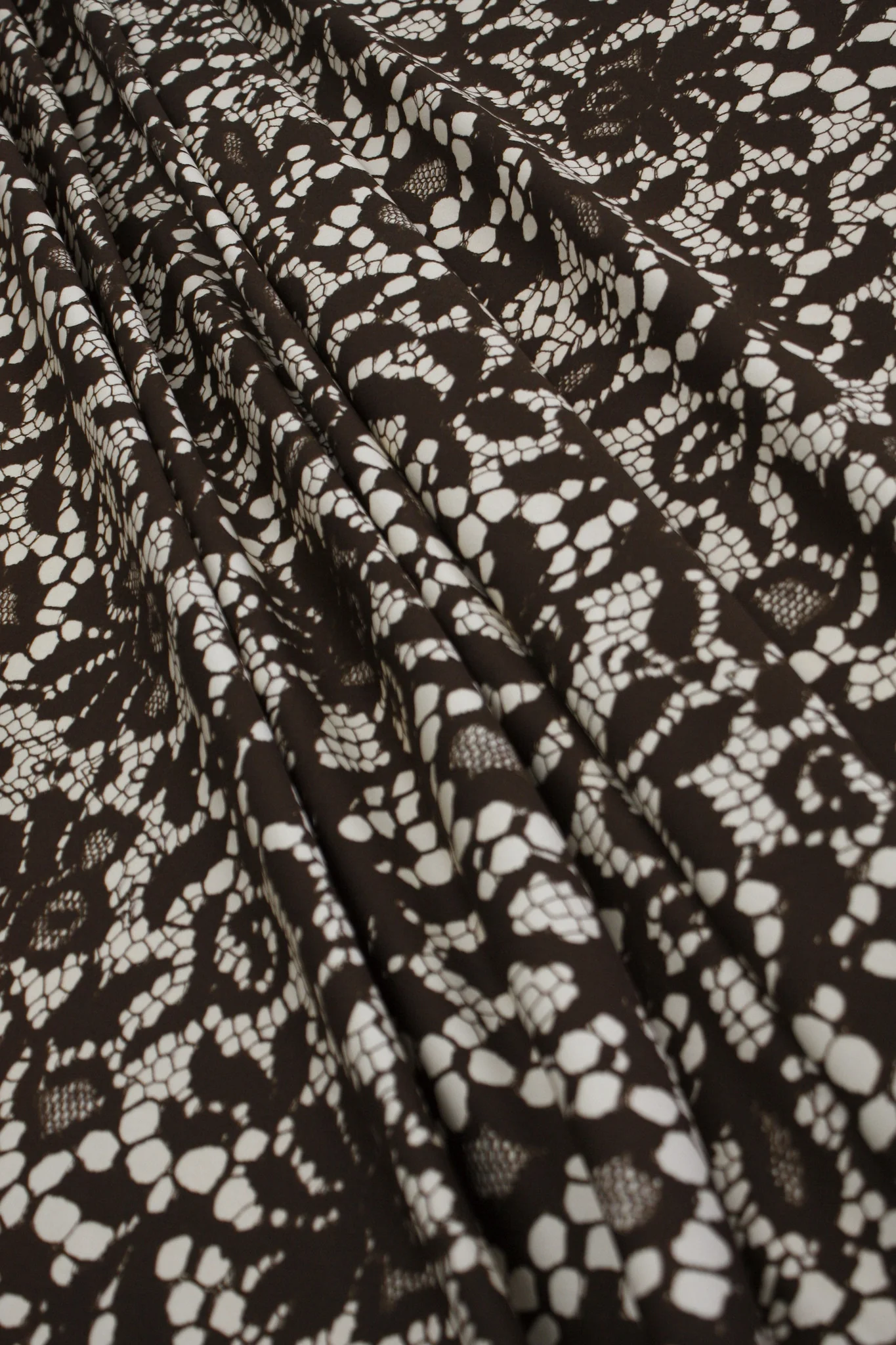 Sepia's Cultivation - Image 4