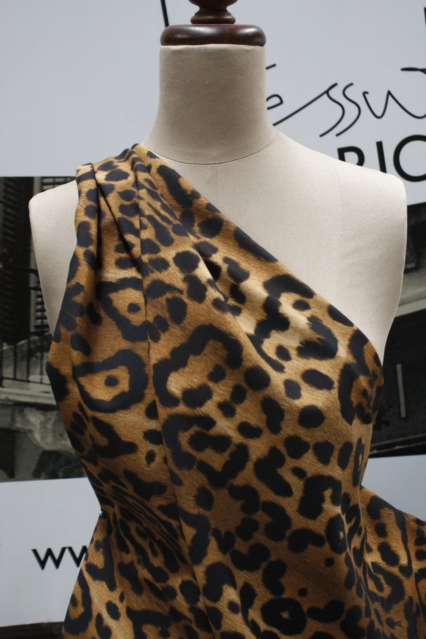 Serious Cat Walk - Image 6