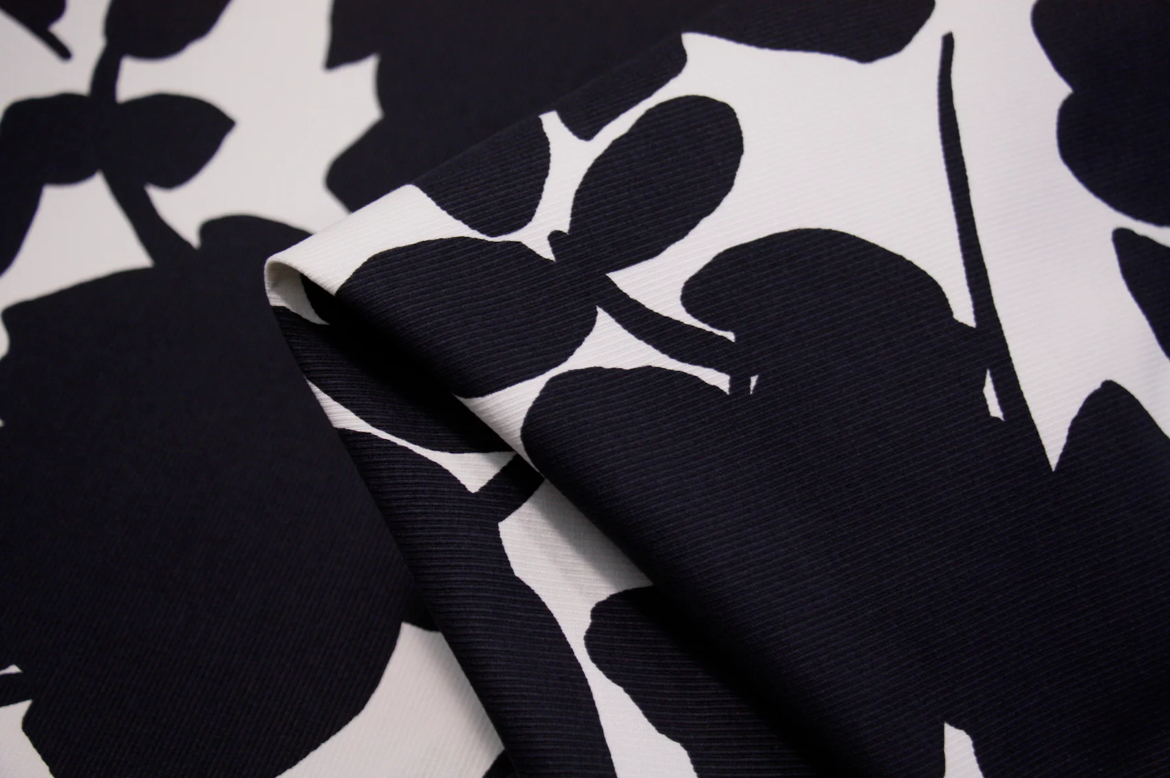 Shadowed Foliage