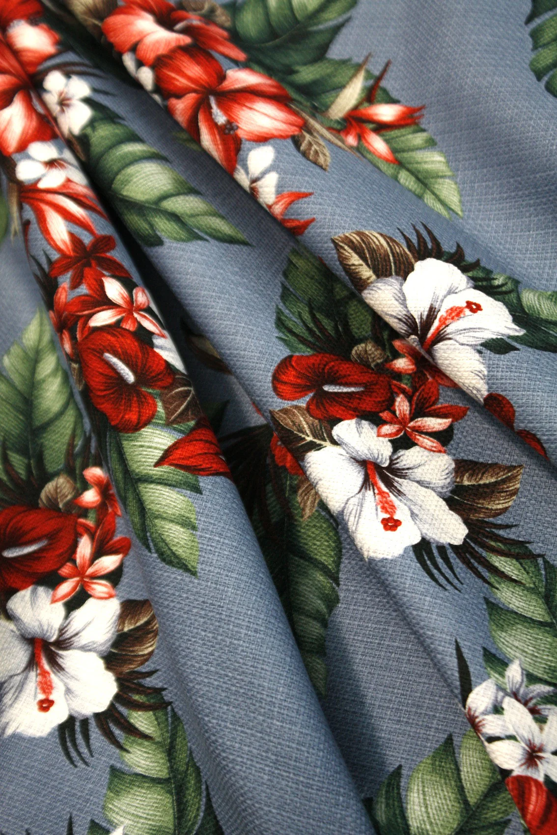 Shima Buru - Image 3