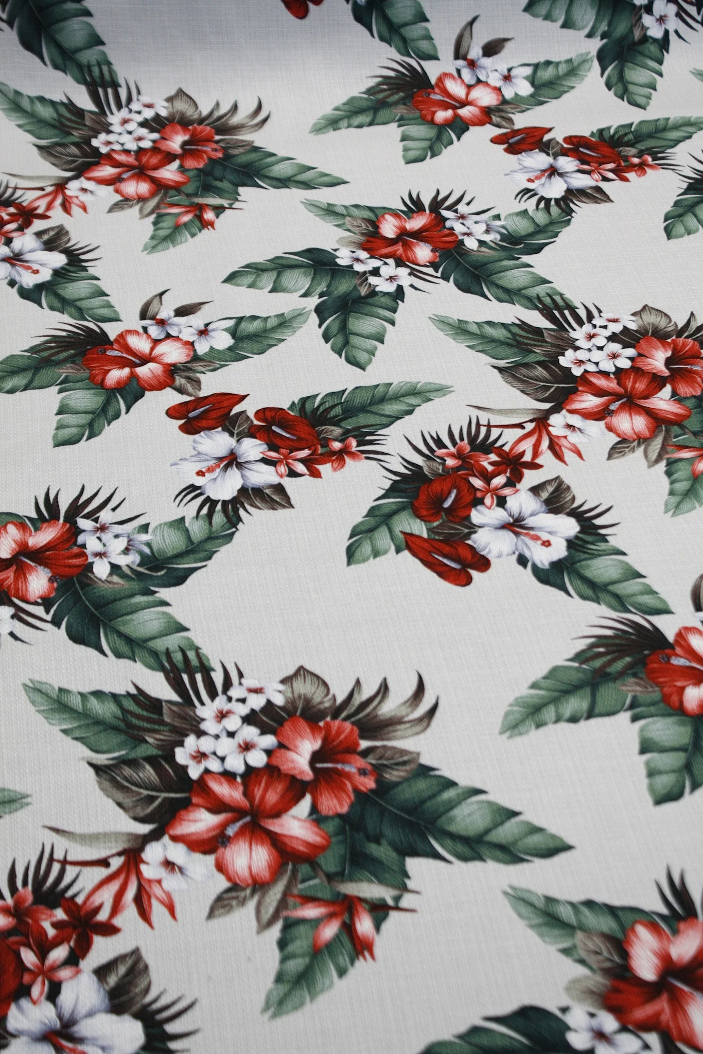 Shima Howaito - Image 2