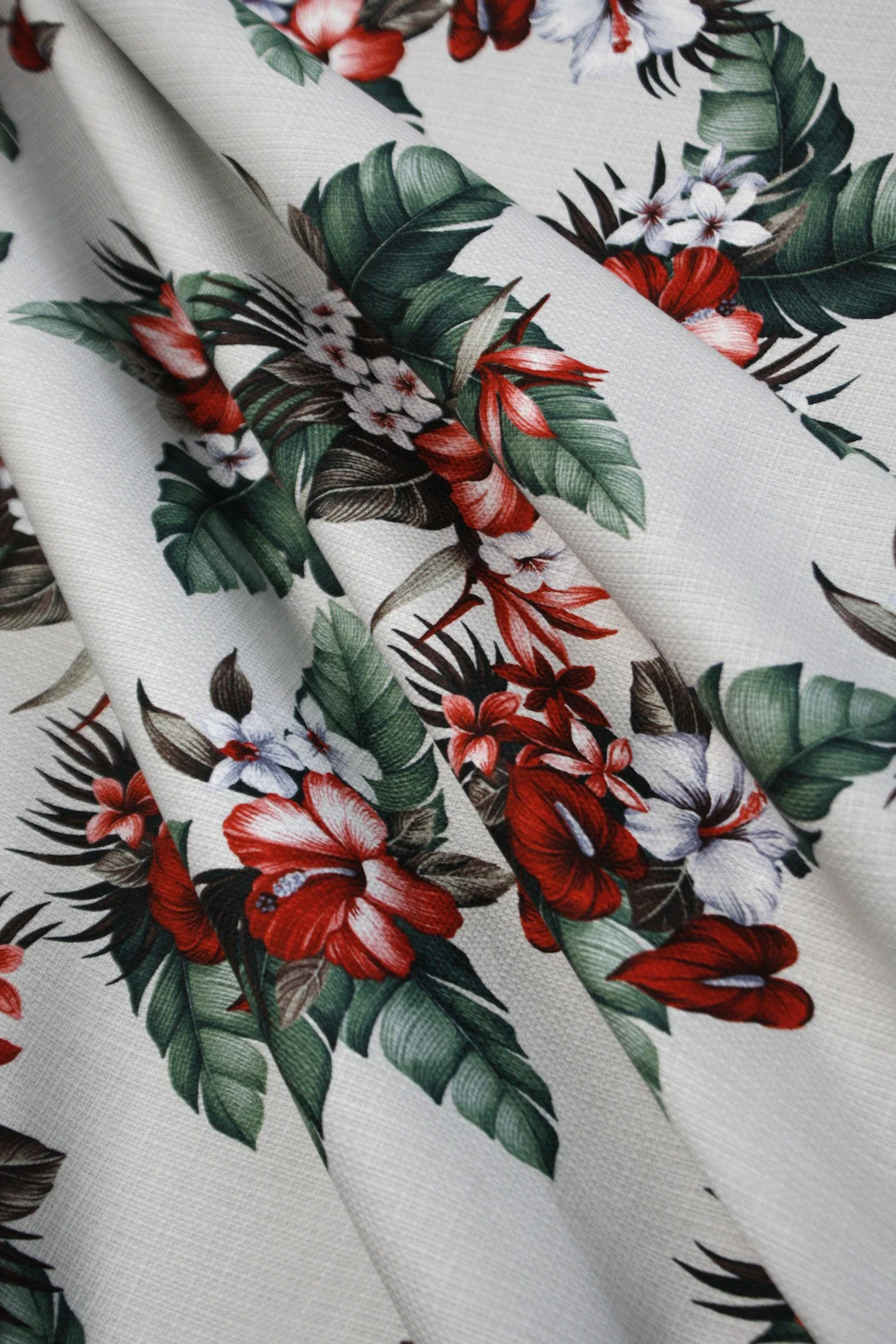 Shima Howaito - Image 3