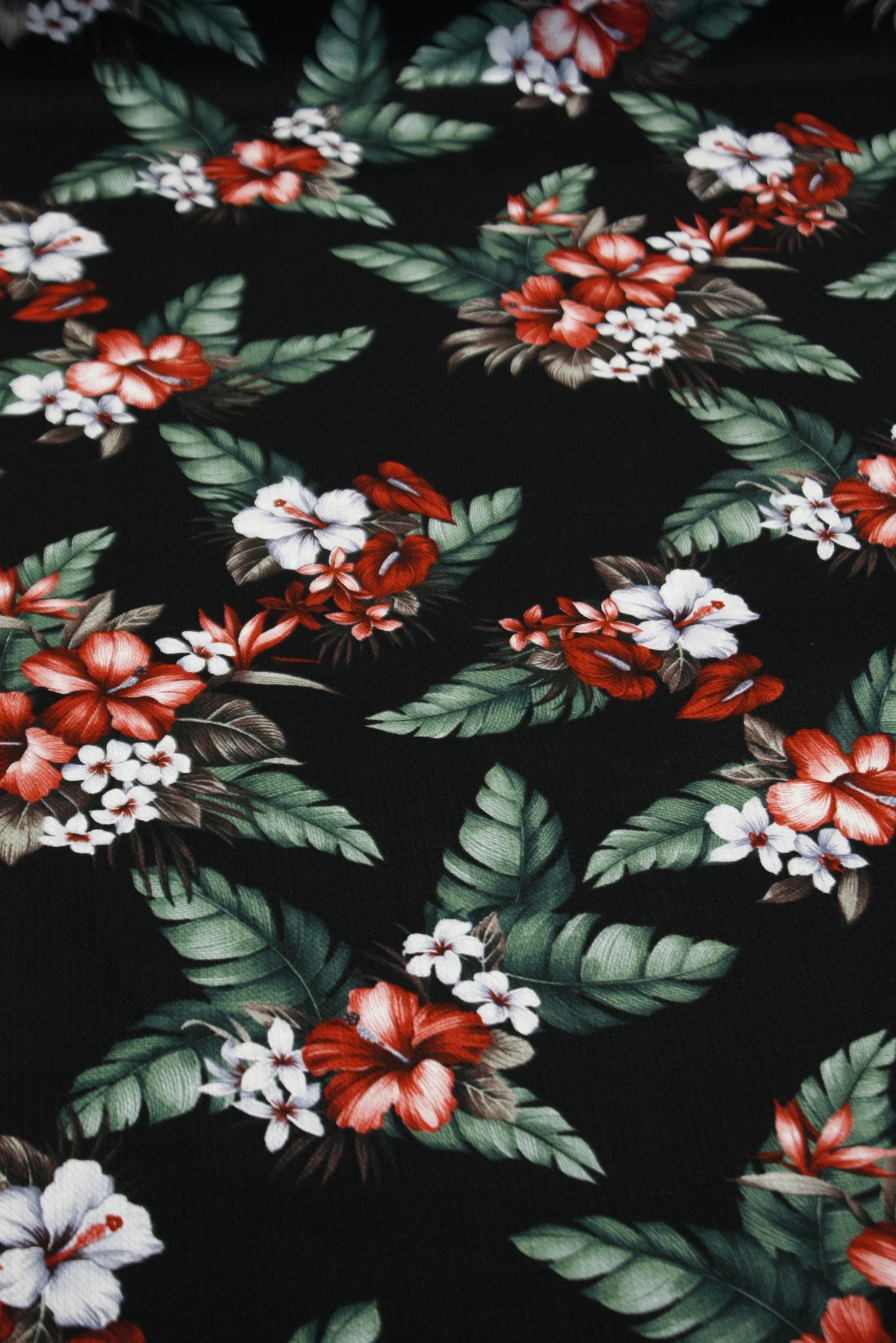 Shima Kuro - Image 2