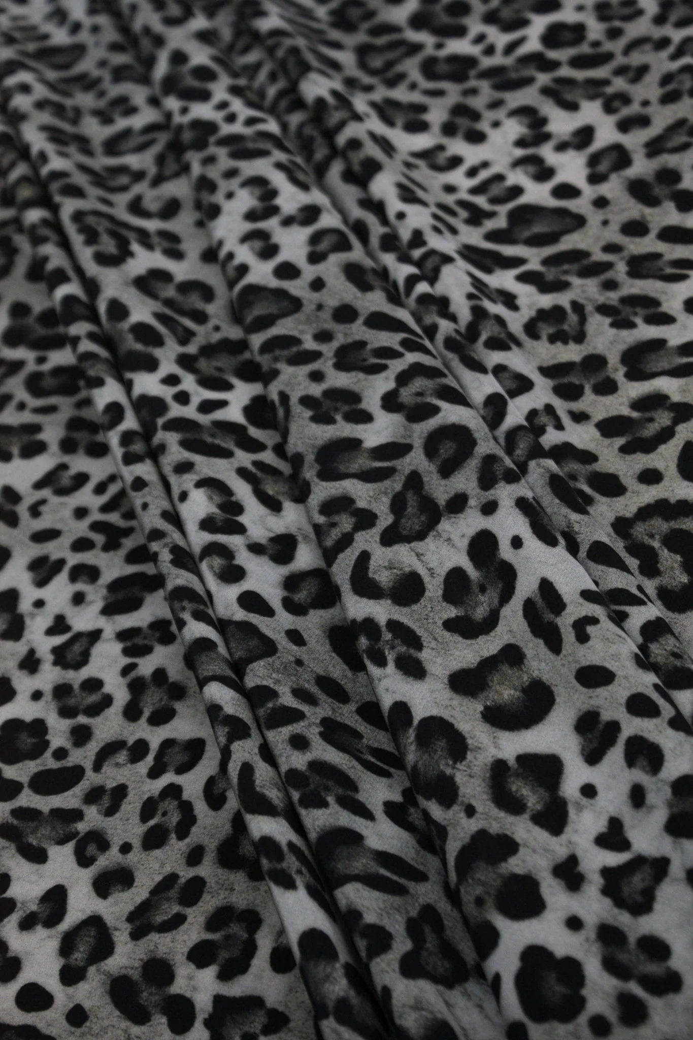 Silky Verdi Cat - Image 3