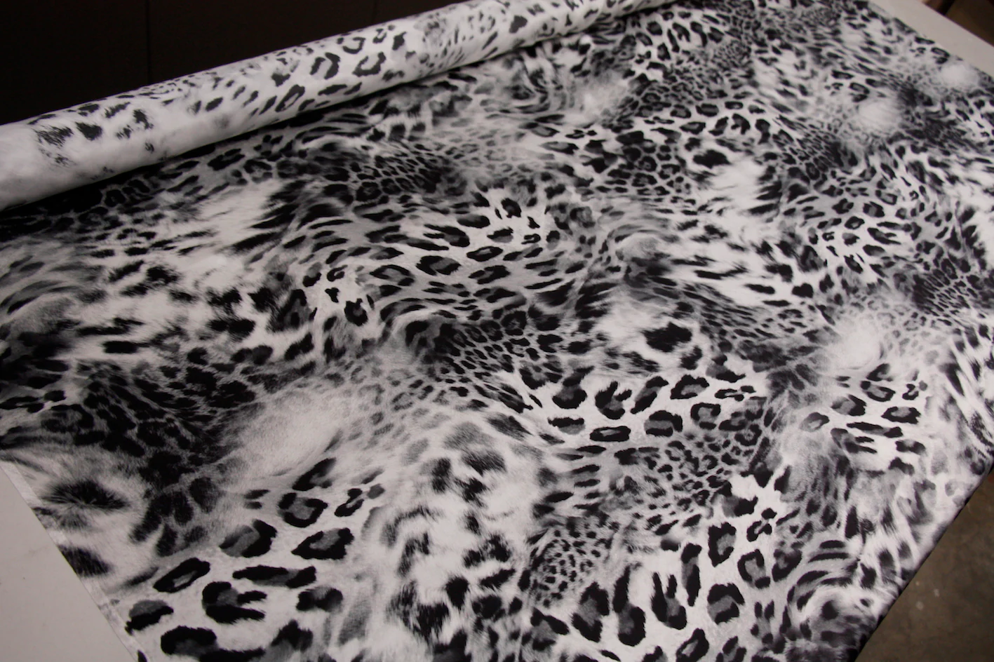 Silver Cat - Image 4