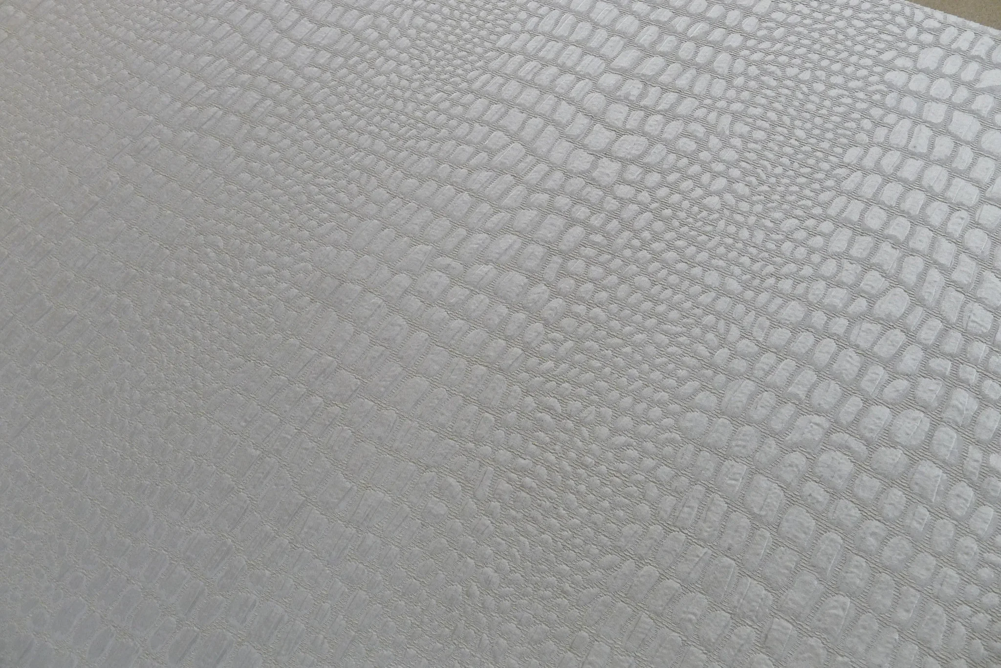 Silver Sabbia - Image 3