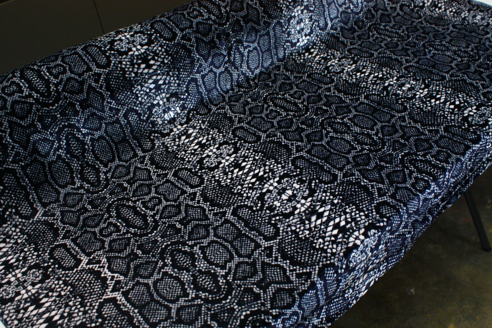 Smooth Snake - Image 2