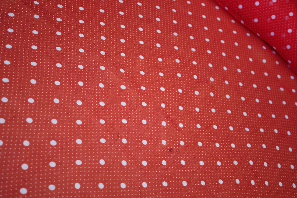 Snow Berry - Image 2