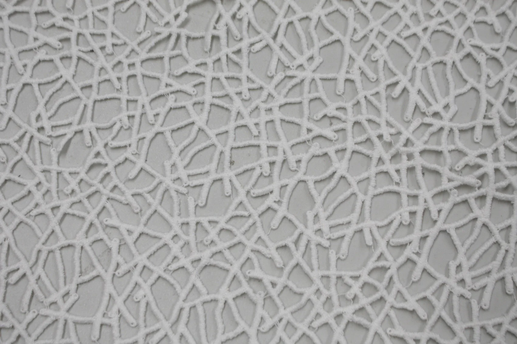 Snow Long Grain - Image 2