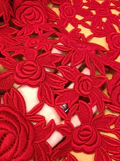 Sophia Rose Guipure Lace Red - Image 3