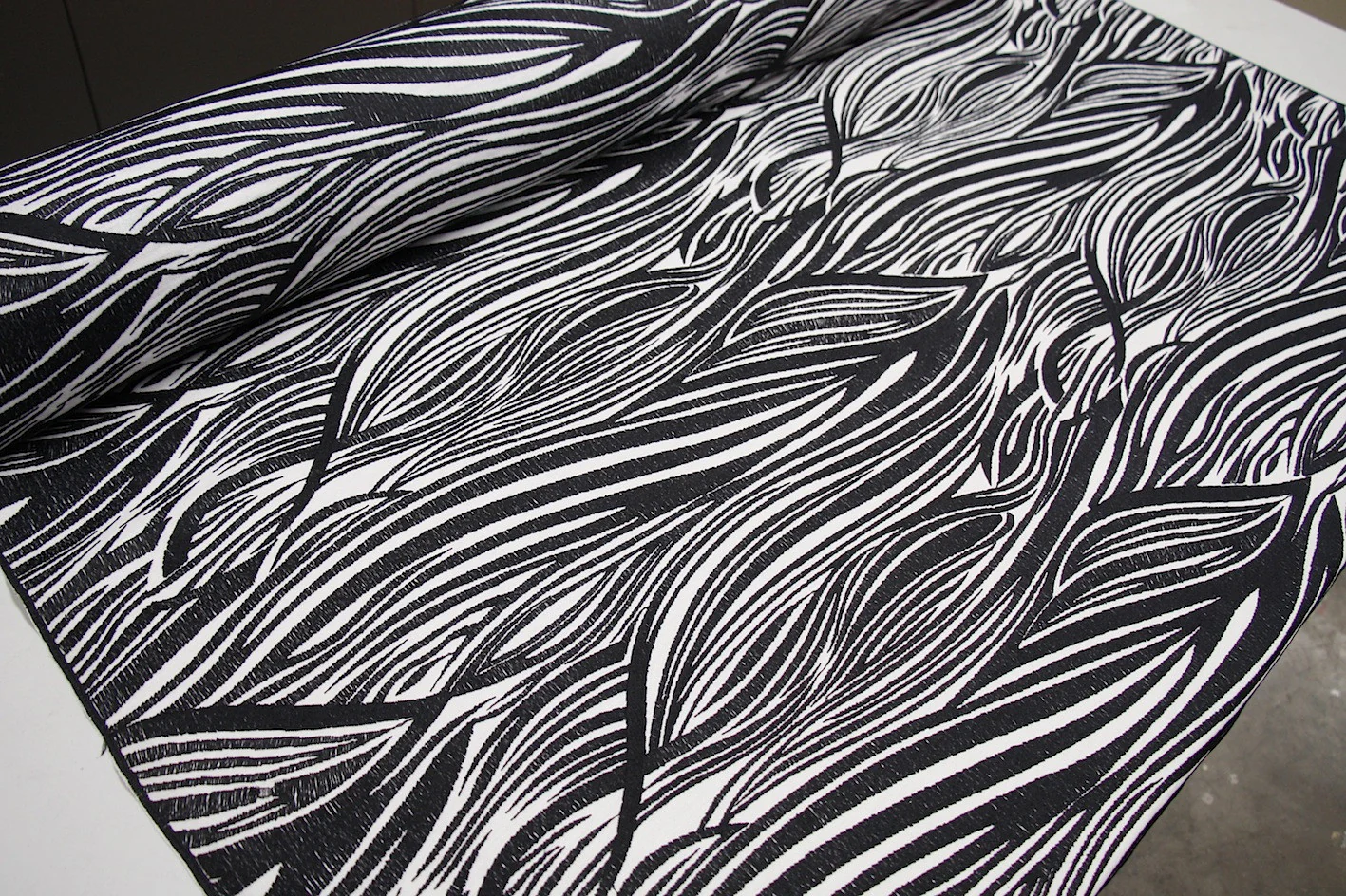 Spaced Out Zebra - Image 4