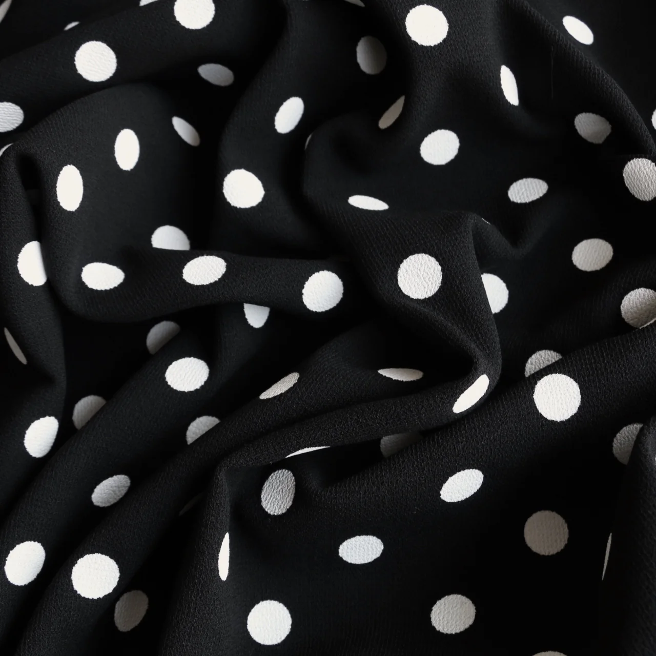Spotted Black Night - Image 2