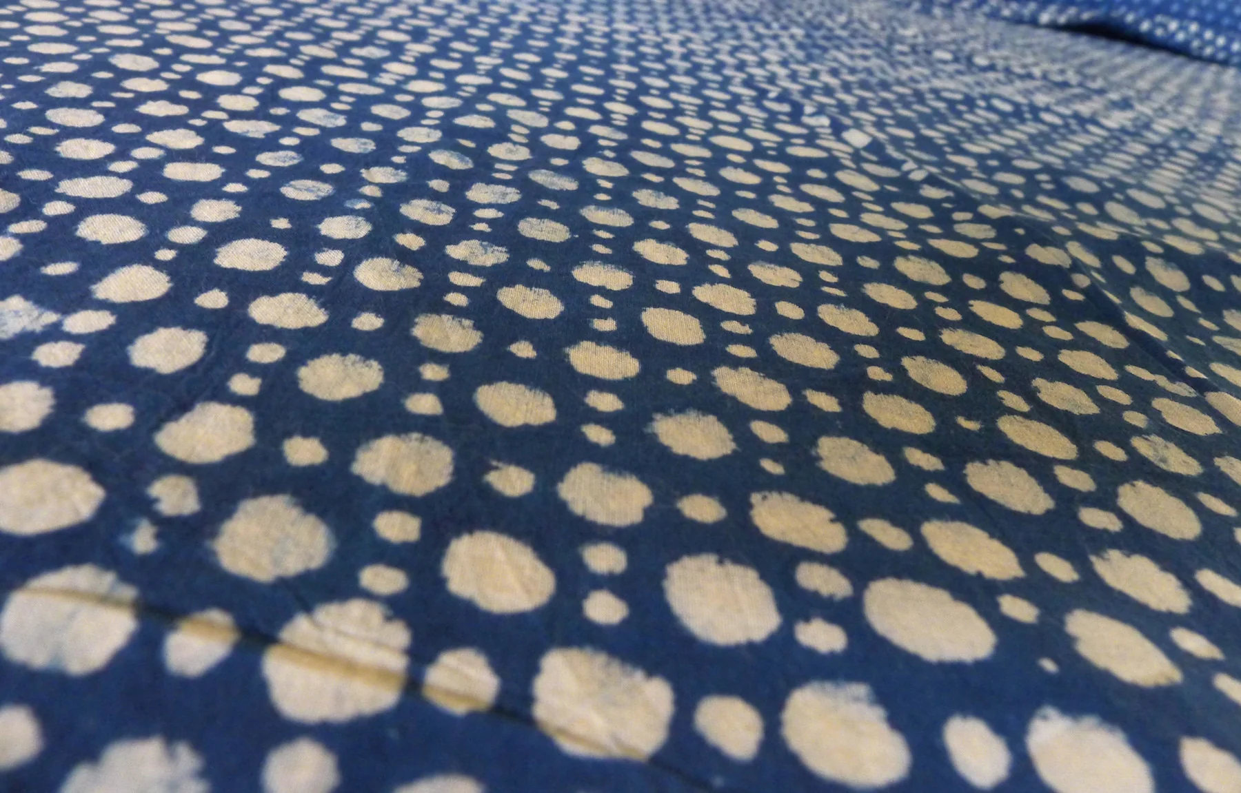 Spotty Indigo - Image 2